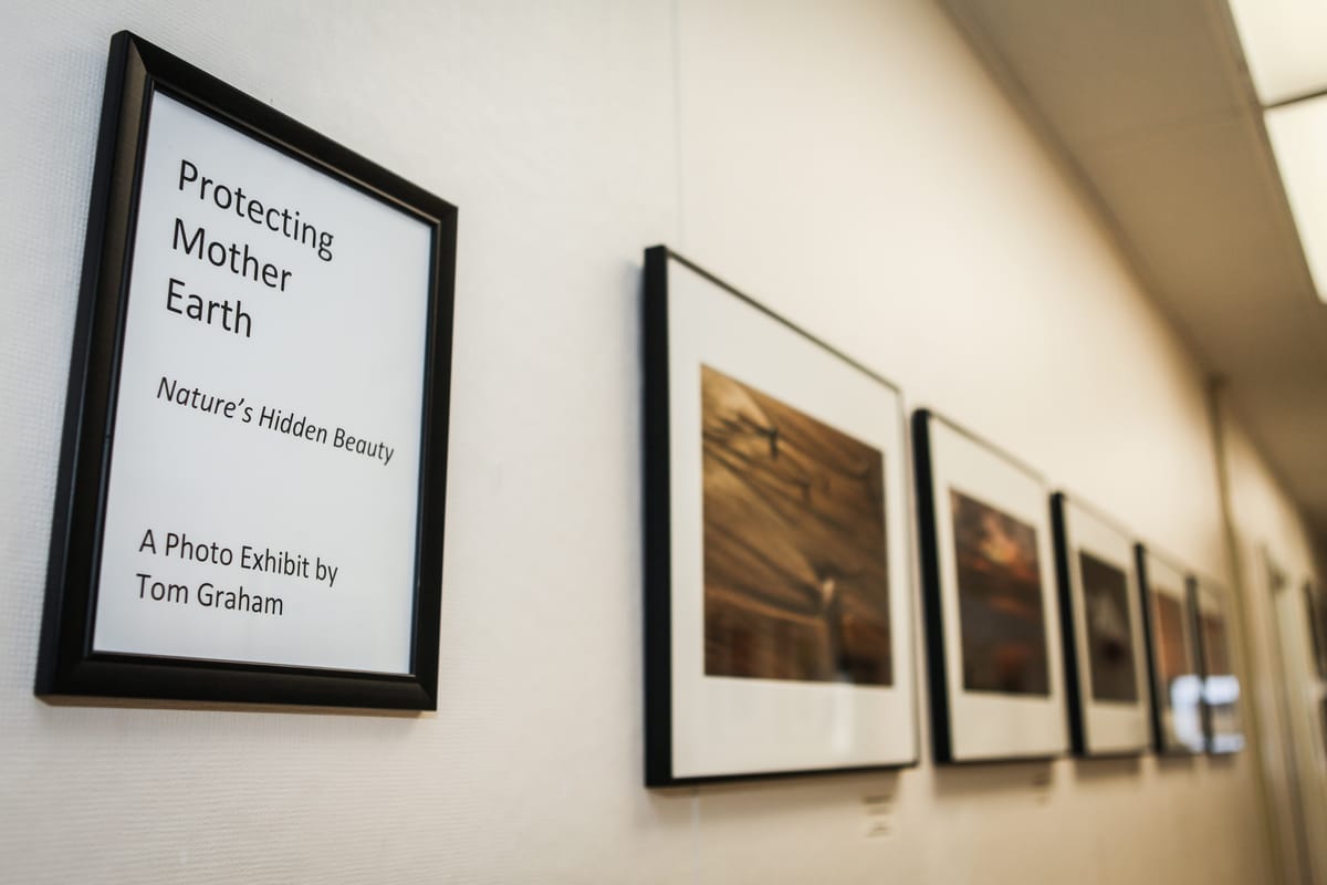 Protecting Mother Earth: Photo exhibit pays tribute to nature's hidden beauty