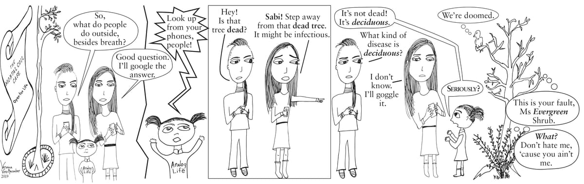 The Mortal Coil Cafe – Open for Life