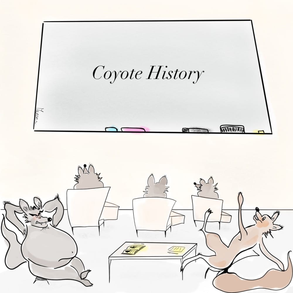 Coyotes Make A Bold Appearance on Campus