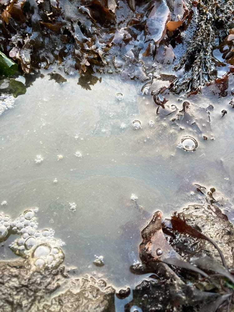 Chevron Spill in Richmond Sparks Continued Outrage Among Residents