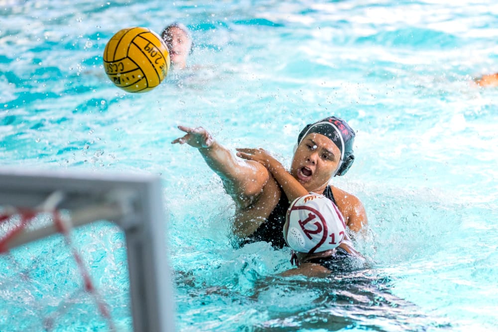 City College Athletics to Play First Games in Over a Year