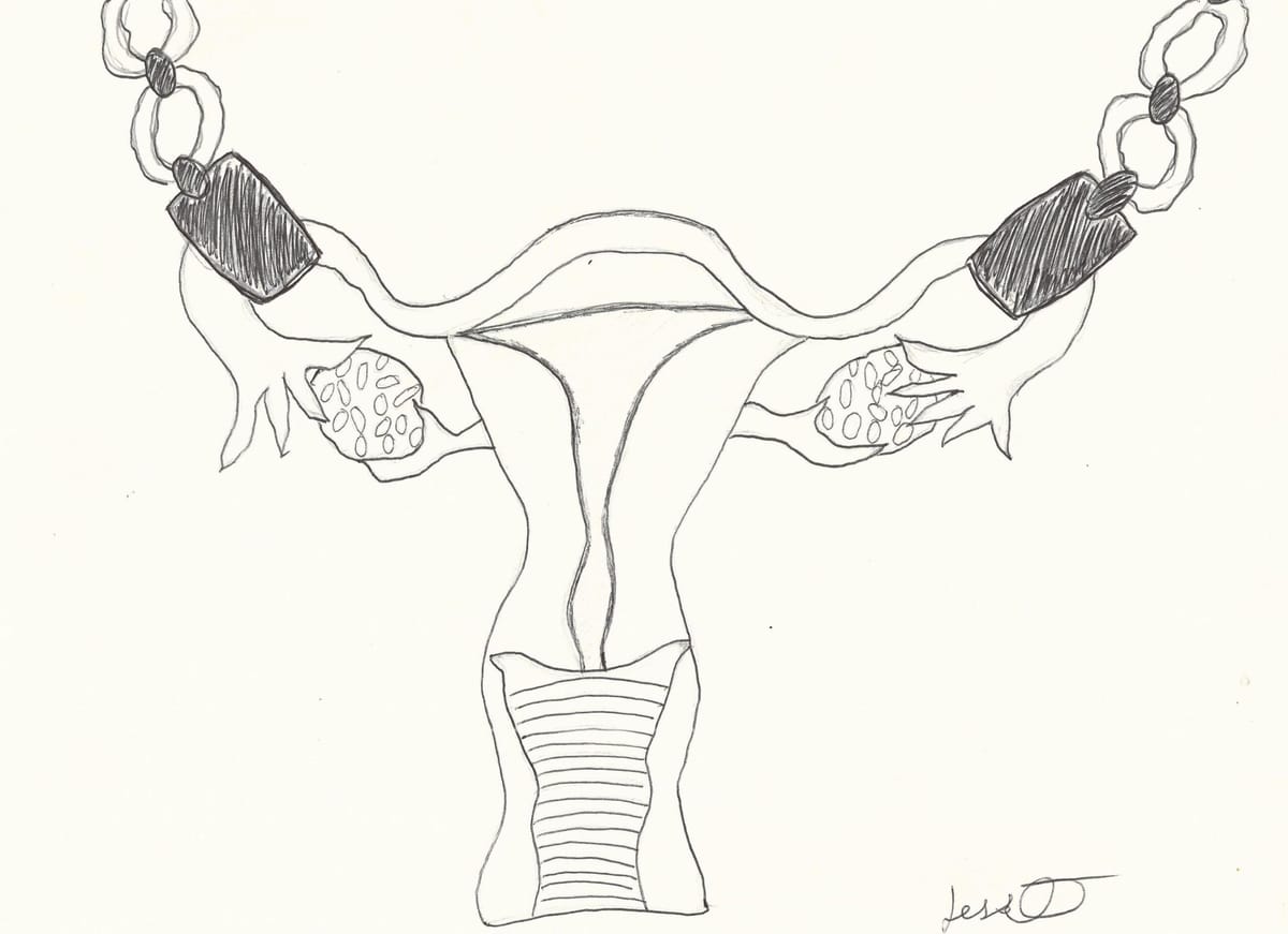 'Trivialized and Demonized,' Women's Resource Center Staffers on the State of Reproductive Rights