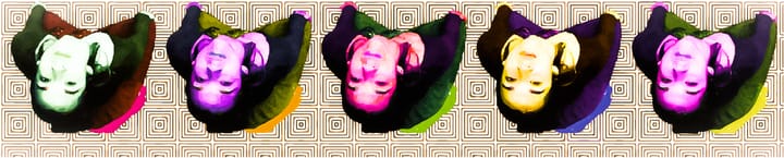 Have Your Say: “What do you know about gender-neutral pronouns and would you use them if you met someone who uses them?”