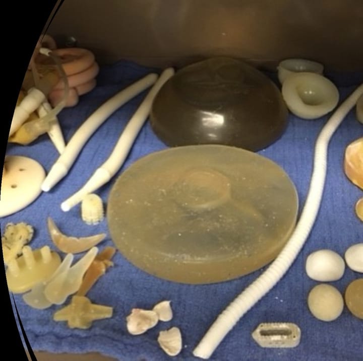 UC Davis Body Donation Program Moves to Water Cremations to Protect Environment