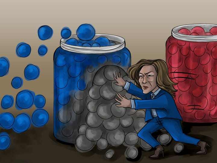 Blaming the Base: The Democrats won’t take responsibility for a loss