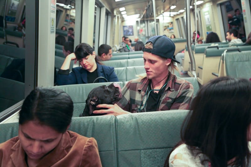 City College student Nick Lindley and his service dog Ziggy commute to the Ocean Campus from the BAART clinic on Turk St. on Tuesday, Feb. 16, 2016. (Photo by Gabriella Angotti-Jones/The Guardsman)