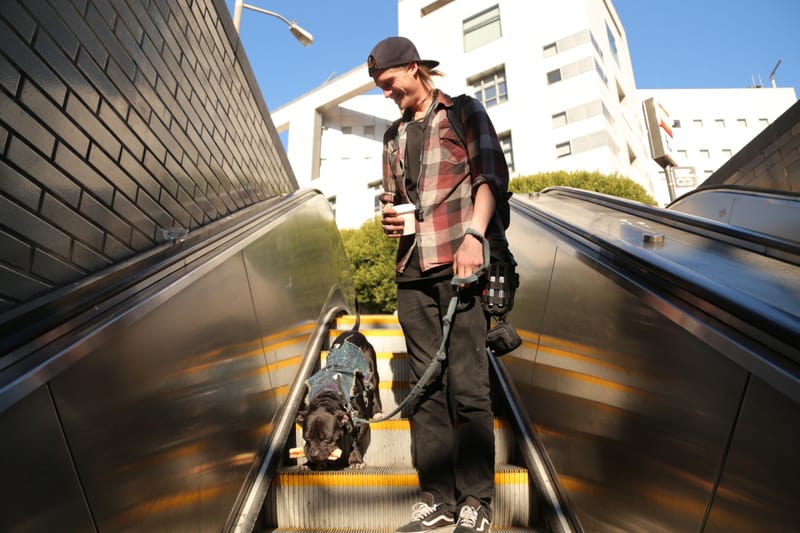 Lindley and Ziggy begin their daily commute to Ocean Campus from the Turk St. Clinic on Tuesday, Feb. 16, 2016. (Photo by Gabriella Angotti-Jones/The Guardsman)