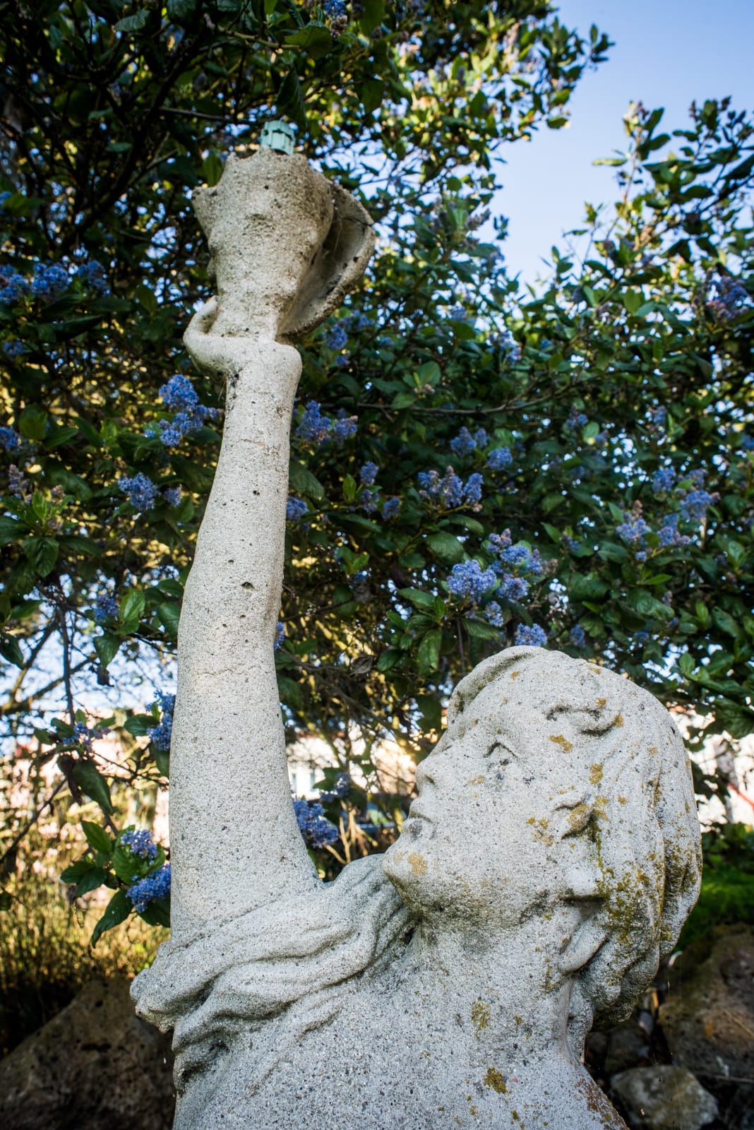 Sculpture in the Ornamental Horticulture garden at CCSF on Wednesday 23, 2016. Photo by Gabriela Reni/ The Guardsman.