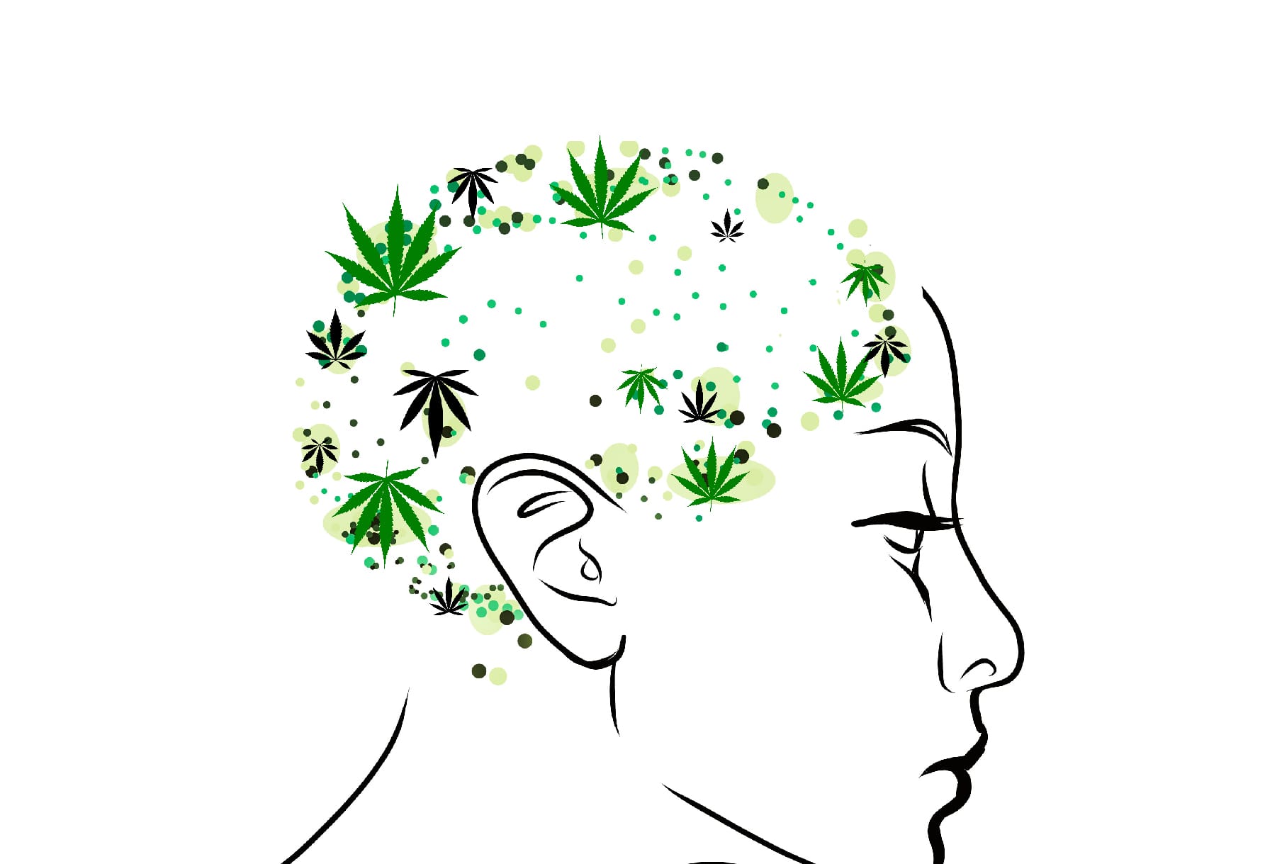 Illustration by Elena Stuart