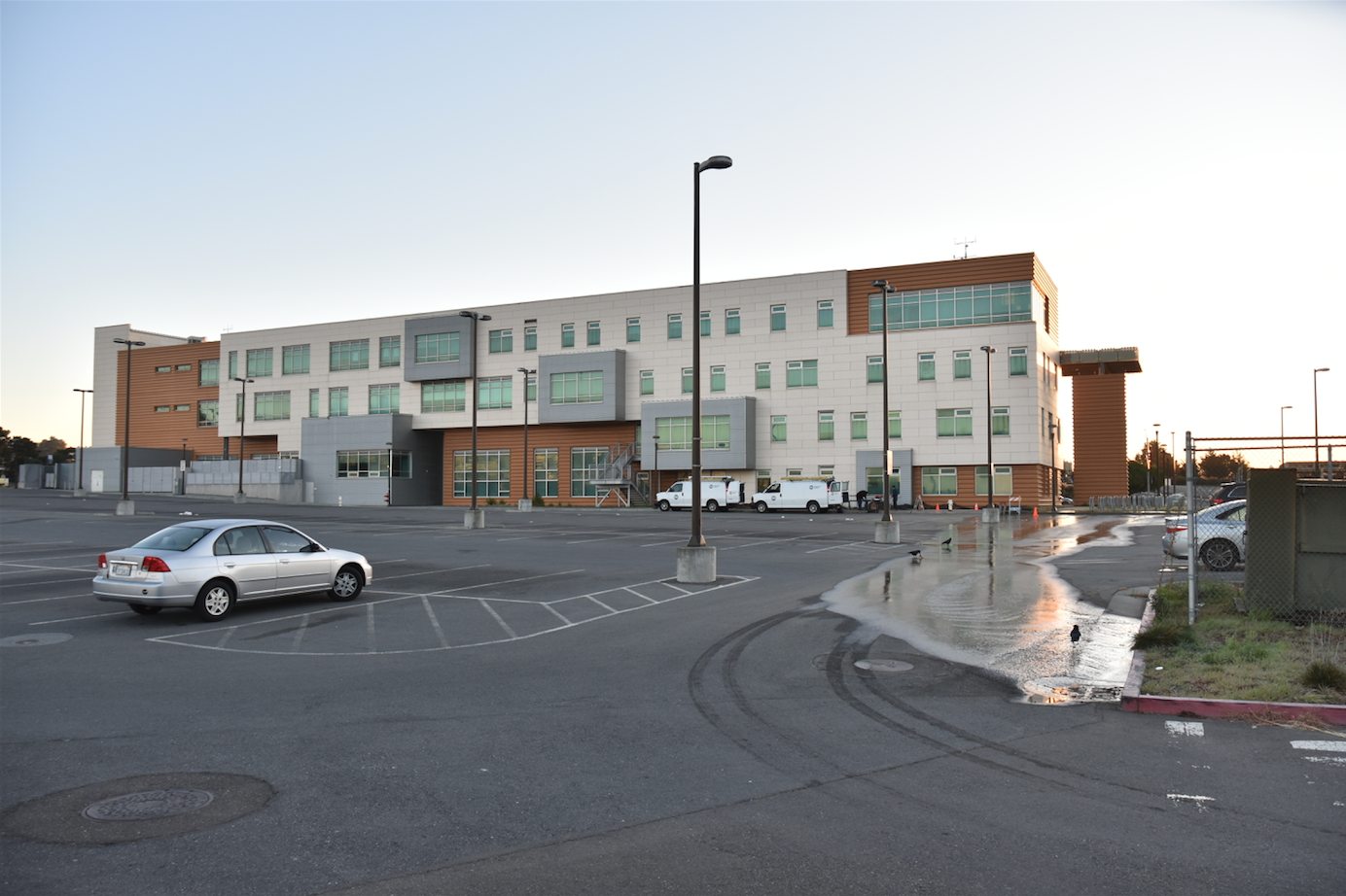 Ravens in the Ocean Campus Multi-Use Building (MUB) parking lot drinking water from a leak in the MUB on Feb. 16, 2018. Photo by Michael Menaster/The Guardsman